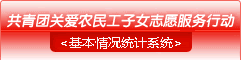 共青团关爱农民工子女志愿服务行动-信息统计系统